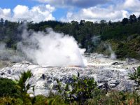 Nuova Zelanda e natura: quando andare?