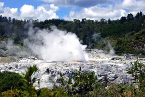 Nuova Zelanda e natura: quando andare?