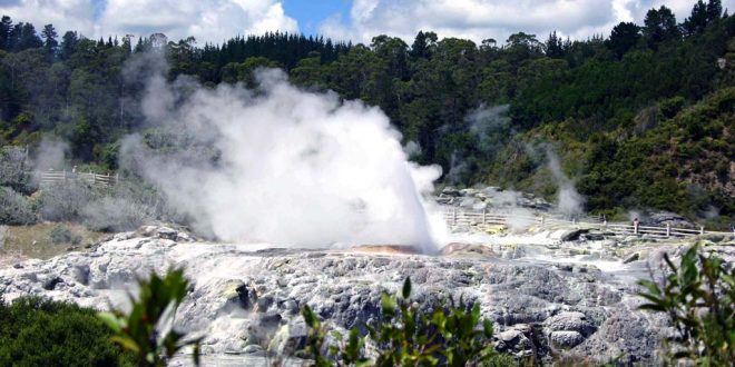 Nuova Zelanda e natura: quando andare?