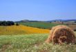 Maremma (Toscana): quando andare