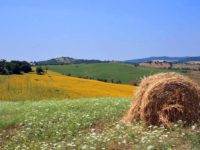 Maremma (Toscana): quando andare