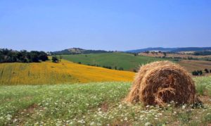 Maremma (Toscana): quando andare