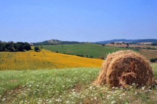 Maremma (Toscana): quando andare