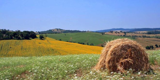 Maremma (Toscana): quando andare